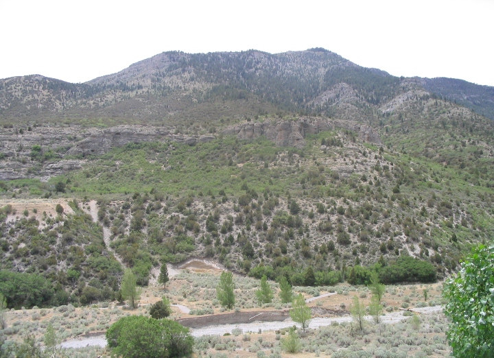 Desert Landscape